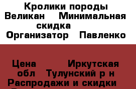 Кролики породы Великан. › Минимальная скидка ­ 10 › Организатор ­ Павленко › Цена ­ 750 - Иркутская обл., Тулунский р-н Распродажи и скидки » Распродажи и скидки на товары   